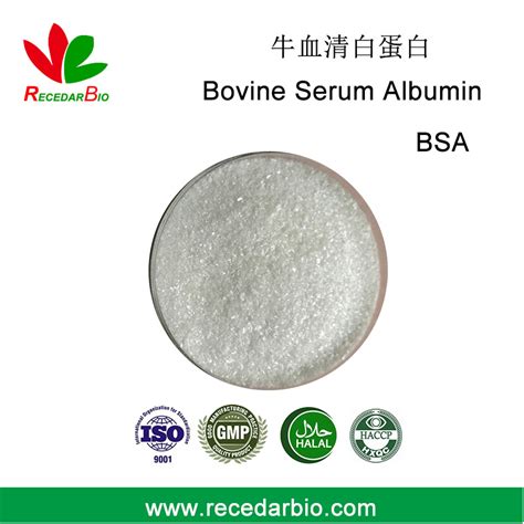 bovine serum albumin powder|Bovine Serum Albumin CAS No.9048.